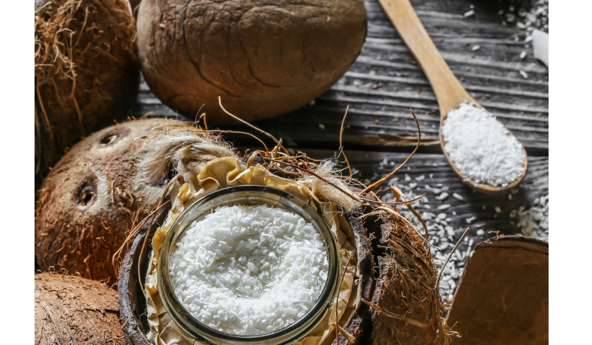 Coco Peat for Gardening