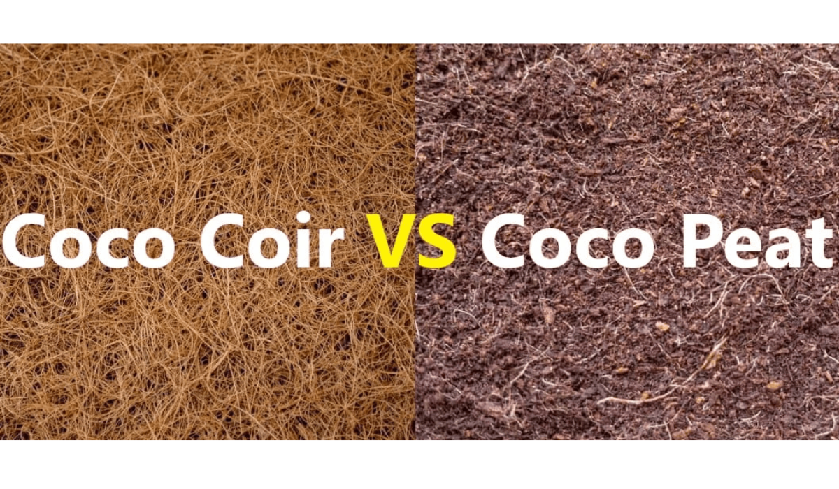 Coco Peat for Gardening