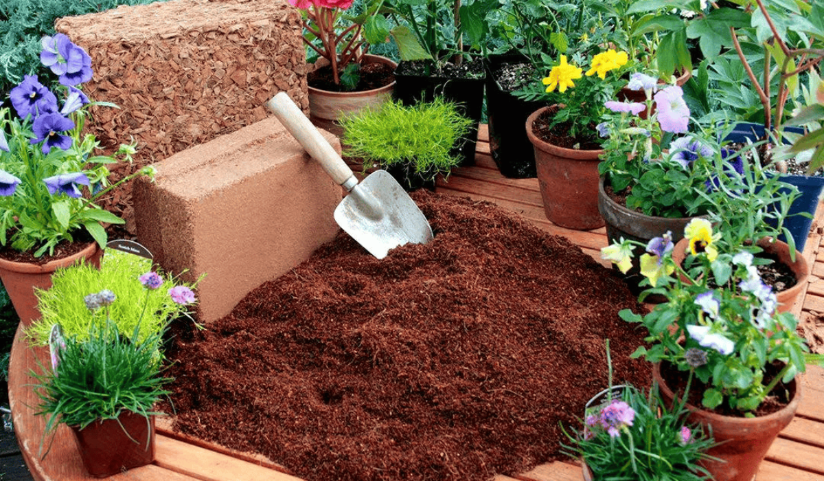 Coco Peat for Gardening