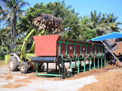 Feeding Husk into Machine for Extraction